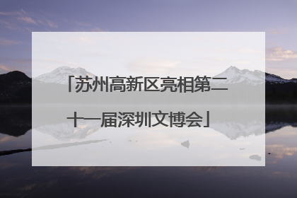 苏州高新区亮相第二十一届深圳文博会