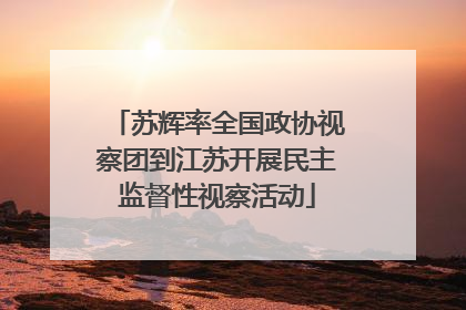苏辉率全国政协视察团到江苏开展民主监督性视察活动