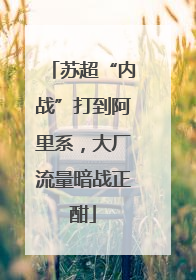 苏超“内战”打到阿里系，大厂流量暗战正酣