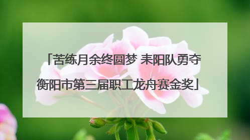 苦练月余终圆梦 耒阳队勇夺衡阳市第三届职工龙舟赛金奖