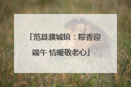 范县濮城镇：粽香迎端午 情暖敬老心