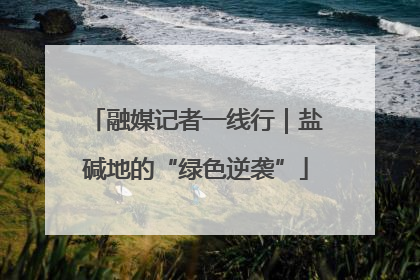 融媒记者一线行｜盐碱地的“绿色逆袭”