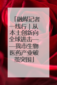 融媒记者一线行｜从本土创新向全球进击——我市生物医药产业破茧突围