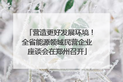 营造更好发展环境！全省能源领域民营企业座谈会在郑州召开