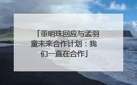 董明珠回应与孟羽童未来合作计划：我们一直在合作