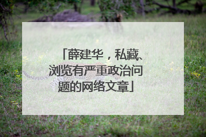 薛建华，私藏、浏览有严重政治问题的网络文章