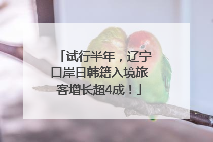 试行半年，辽宁口岸日韩籍入境旅客增长超4成！