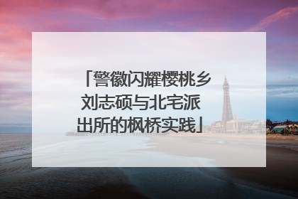 警徽闪耀樱桃乡 刘志硕与北宅派出所的枫桥实践