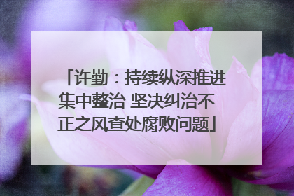许勤：持续纵深推进集中整治 坚决纠治不正之风查处腐败问题