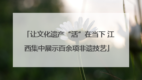 让文化遗产“活”在当下 江西集中展示百余项非遗技艺