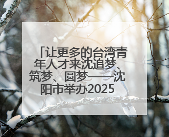 让更多的台湾青年人才来沈追梦、筑梦、圆梦——沈阳市举办2025“台湾博士沈阳行”活动