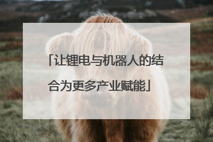 让锂电与机器人的结合为更多产业赋能