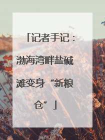 记者手记：渤海湾畔盐碱滩变身“新粮仓”