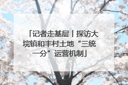 记者走基层丨探访大垸镇和丰村土地“三统一分”运营机制