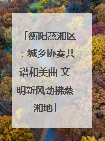 衡阳蒸湘区：城乡协奏共谱和美曲 文明新风劲拂蒸湘地