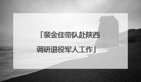 裴金佳带队赴陕西调研退役军人工作
