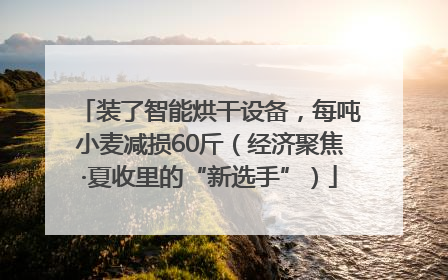 装了智能烘干设备，每吨小麦减损60斤（经济聚焦·夏收里的“新选手”）