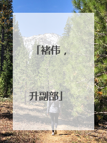 褚伟，升副部