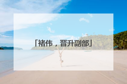 褚伟，晋升副部