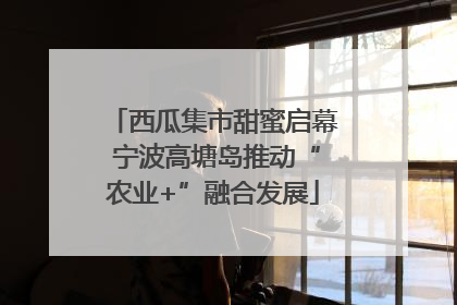 西瓜集市甜蜜启幕 宁波高塘岛推动“农业+”融合发展