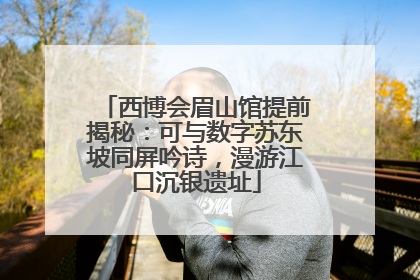 西博会眉山馆提前揭秘：可与数字苏东坡同屏吟诗，漫游江口沉银遗址