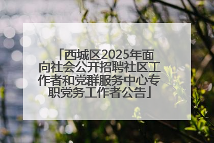 西城区2025年面向社会公开招聘社区工作者和党群服务中心专职党务工作者公告