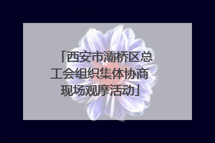 西安市灞桥区总工会组织集体协商现场观摩活动