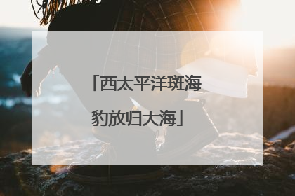 西太平洋斑海豹放归大海