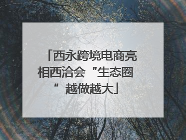 西永跨境电商亮相西洽会“生态圈”越做越大