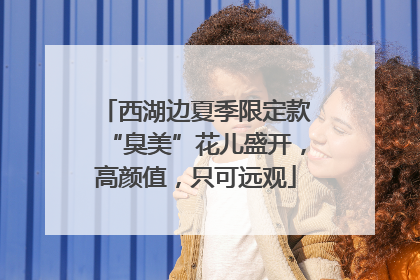 西湖边夏季限定款“臭美”花儿盛开，高颜值，只可远观