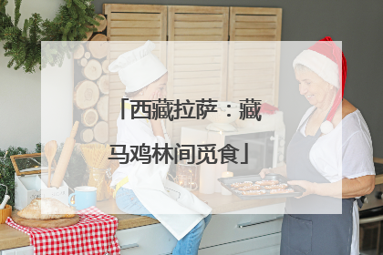 西藏拉萨：藏马鸡林间觅食