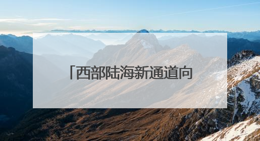 西部陆海新通道向南行丨探寻新通道货物运量增长密码