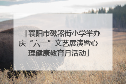 襄阳市磁器街小学举办庆“六一”文艺展演暨心理健康教育月活动