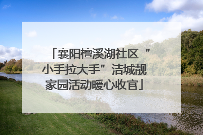 襄阳檀溪湖社区“小手拉大手”洁城靓家园活动暖心收官