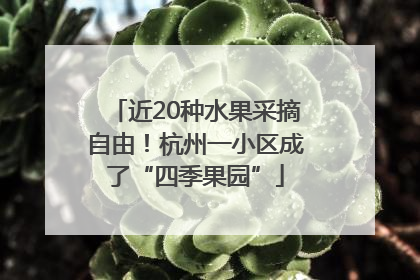 近20种水果采摘自由！杭州一小区成了“四季果园”