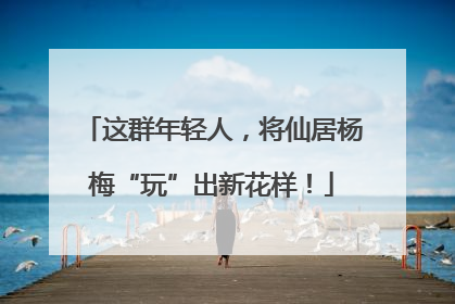 这群年轻人，将仙居杨梅“玩”出新花样！