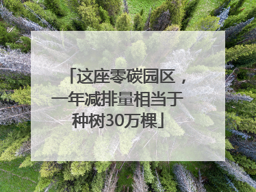 这座零碳园区，一年减排量相当于种树30万棵