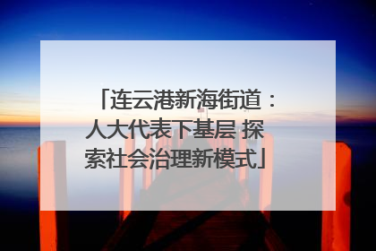 连云港新海街道：人大代表下基层 探索社会治理新模式