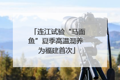 连江试验“马面鱼”夏季高温混养 为福建首次