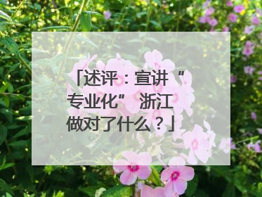 述评：宣讲“专业化” 浙江做对了什么？