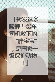 转发这条鲮鲤！货车司机救下的“胖宝宝”，是国家一级保护动物！