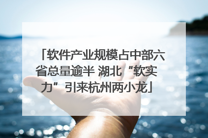 软件产业规模占中部六省总量逾半 湖北“软实力”引来杭州两小龙