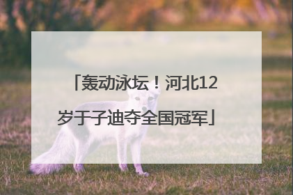 轰动泳坛！河北12岁于子迪夺全国冠军