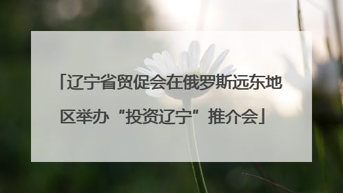 辽宁省贸促会在俄罗斯远东地区举办“投资辽宁”推介会