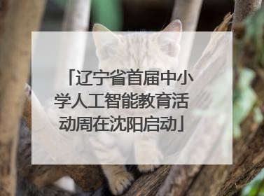 辽宁省首届中小学人工智能教育活动周在沈阳启动