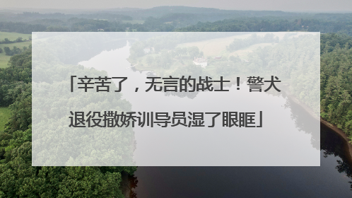 辛苦了，无言的战士！警犬退役撒娇训导员湿了眼眶