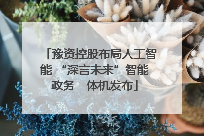 豫资控股布局人工智能 “深言未来”智能政务一体机发布