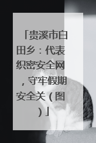 贵溪市白田乡：代表织密安全网，守牢假期安全关（图）