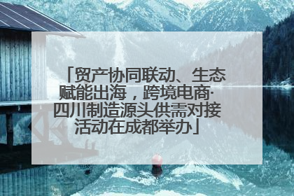贸产协同联动、生态赋能出海，跨境电商·四川制造源头供需对接活动在成都举办