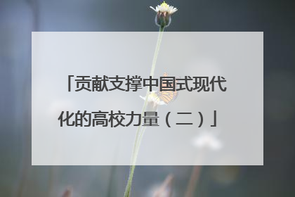 贡献支撑中国式现代化的高校力量（二）